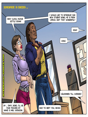 Interracial-  Welcome to Sweden free Porn Comic sex 02